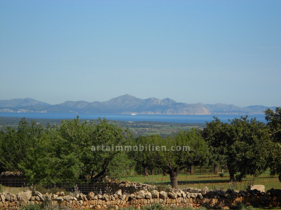 Solar en Manacor