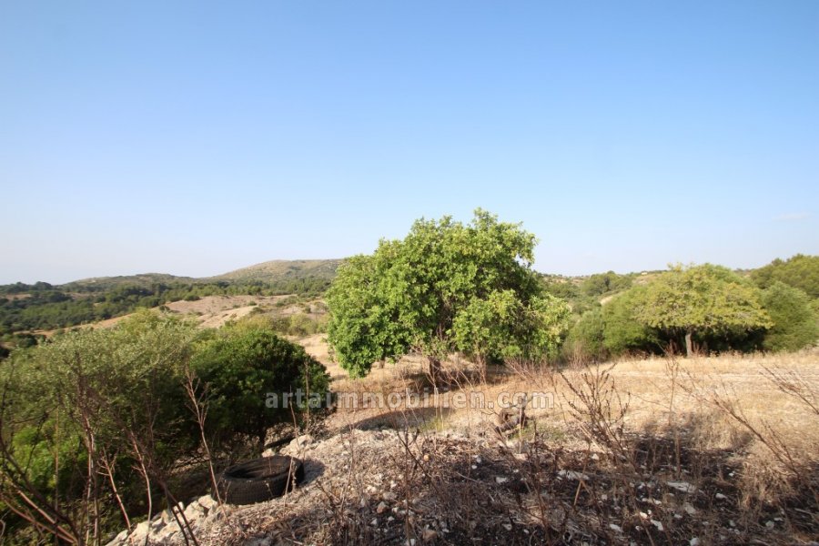 Finca en San Lorenzo