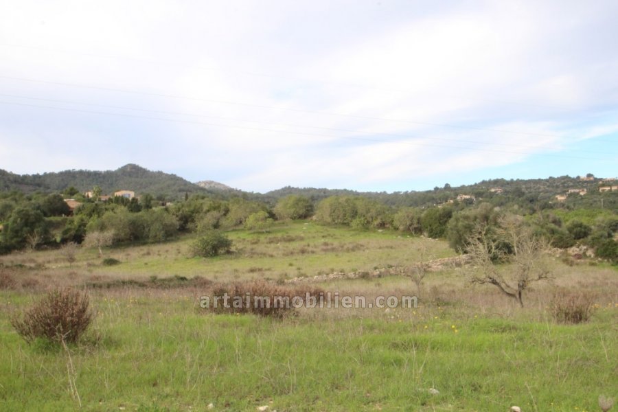 Finca rústica en Son Servera