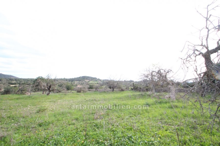 Finca rústica en Son Servera