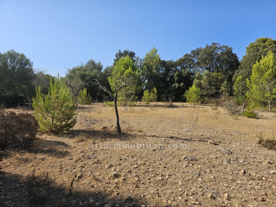 Finca en Artá
