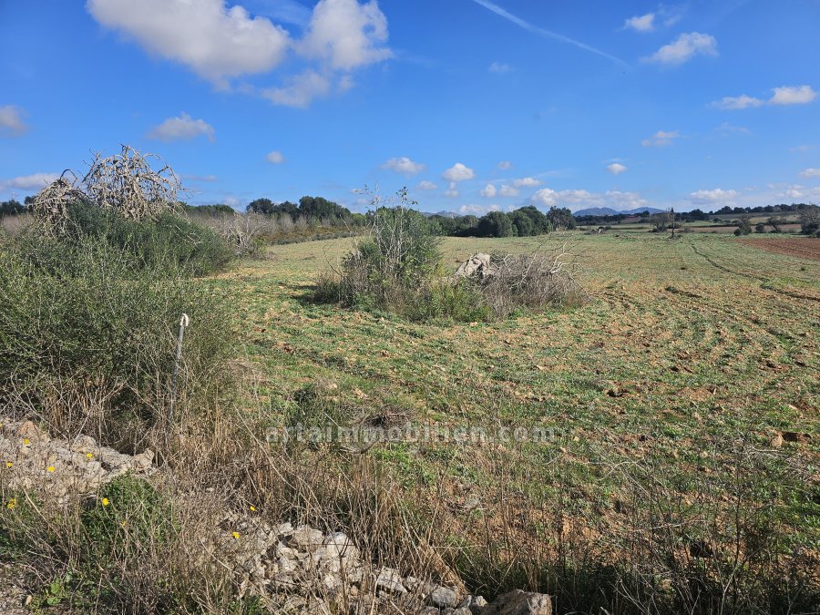 Finca Rústica en Manacor